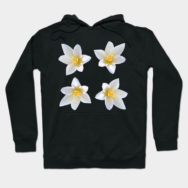 White Crocus Bouquet No Background Hoodie by DesignMore21